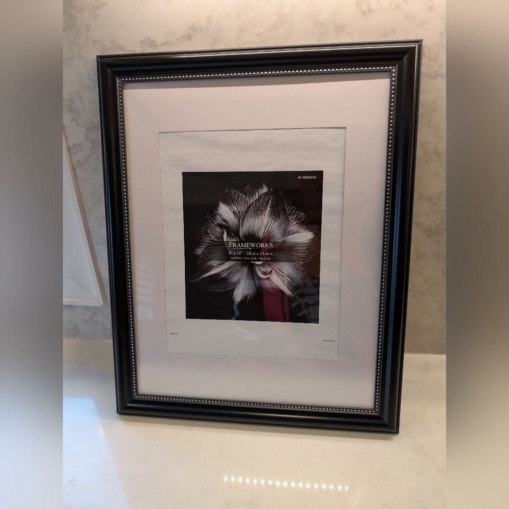 Frameworks 8x10 Acid Free Black with Silver Dots Frame